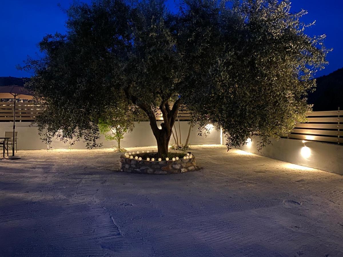 V-Suites Potos Bagian luar foto